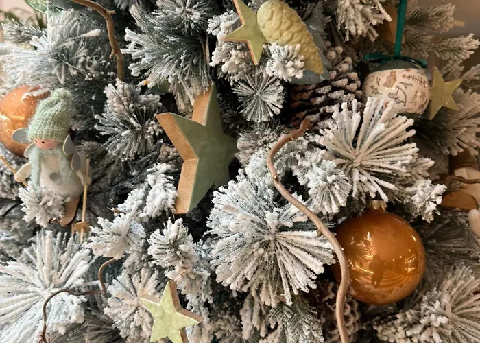 Giada Viale Del Sole Hotel Vicenza