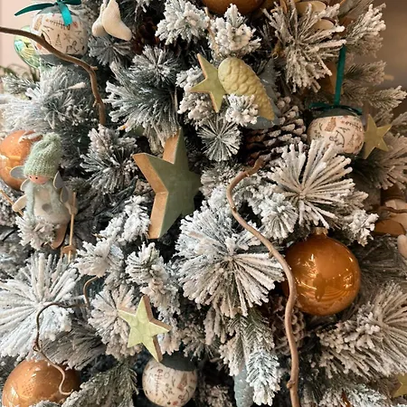 Giada Viale Del Sole Hotel Vicenza